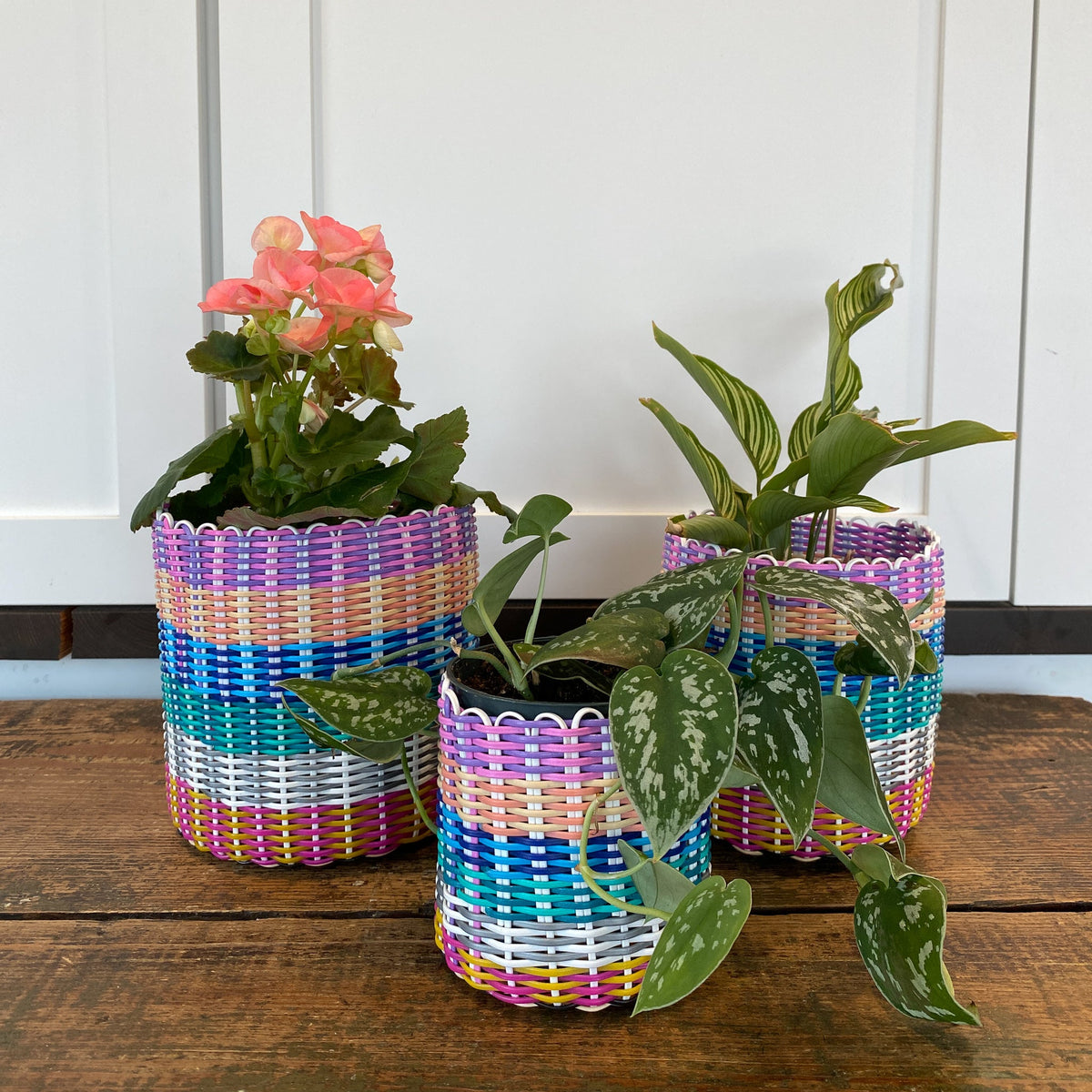 round 'catch all' / plant pots ~ multicolor stripes