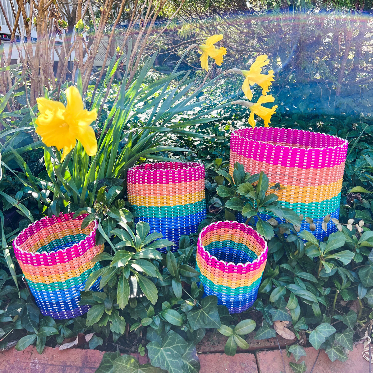 round 'catch all' / plant pots ~ multicolor stripes