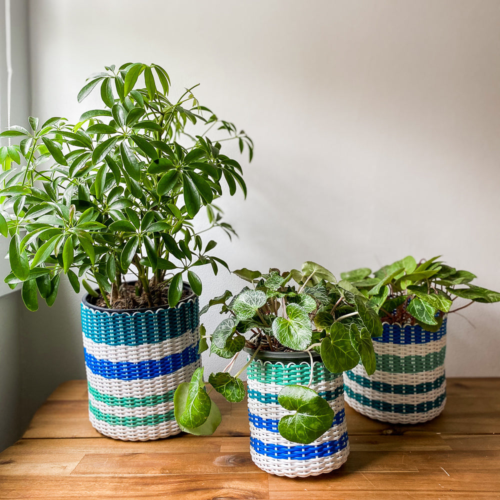 round 'catch all' / plant pots ~ multicolor stripes