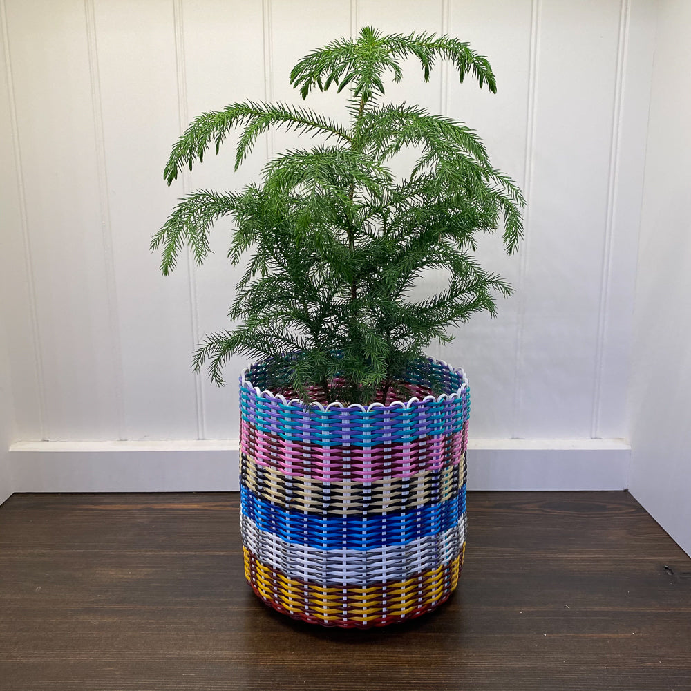 round 'catch all' / plant pots ~ multicolor stripes