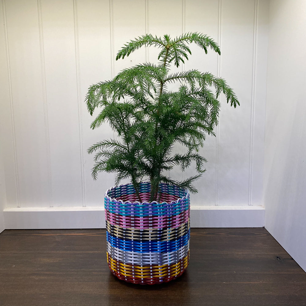 round 'catch all' / plant pots ~ multicolor stripes