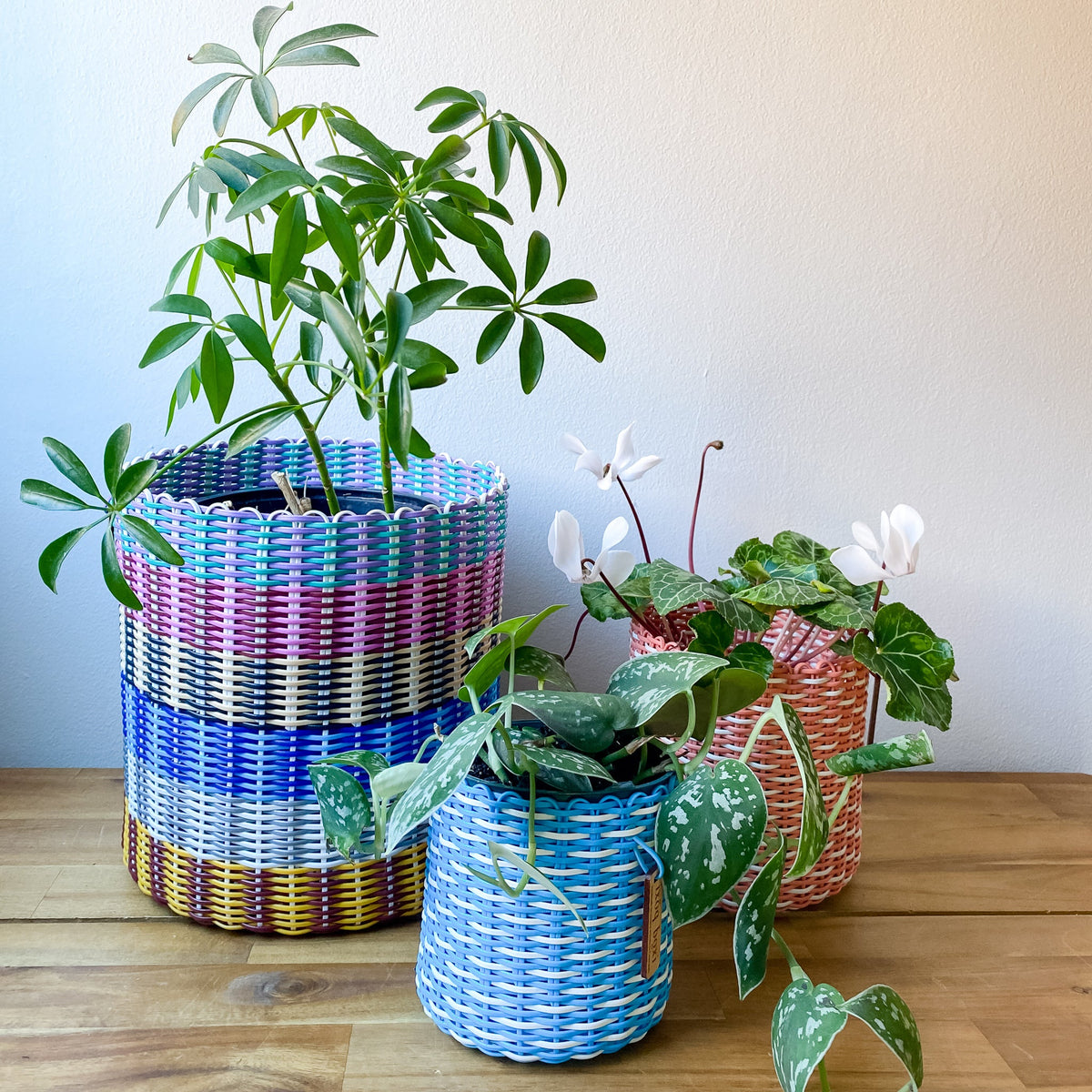 round 'catch all' / plant pots ~ multicolor stripes