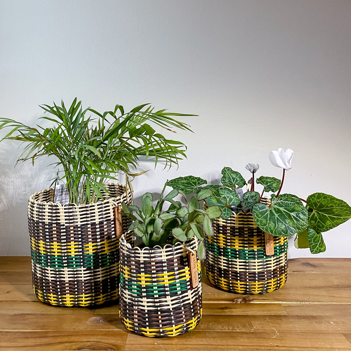 round 'catch all' / plant pots ~ multicolor stripes