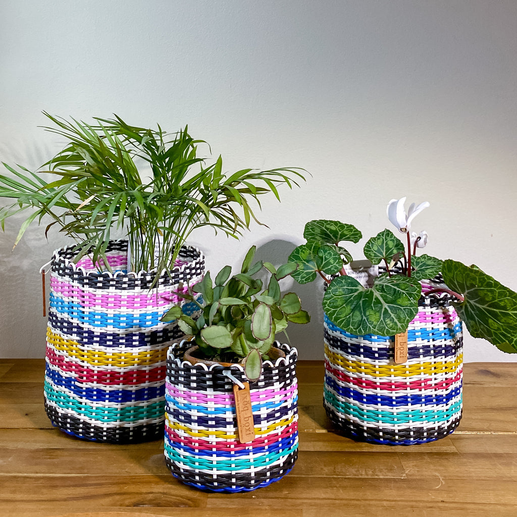 round 'catch all' / plant pots ~ multicolor stripes